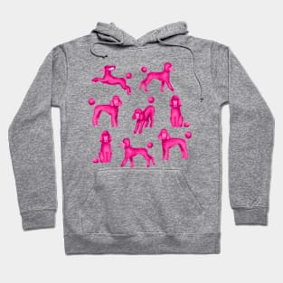 Pink Poodles Hoodie